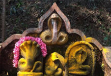 ನಾಗಾರಾಧನೆಯಿಂದ ಶಿವಕೃಪೆ – ನಾಗದೇವನಿಗೆ ಶರಣೆನ್ನುವ ನಾಗರ ಪಂಚಮಿ