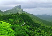 ಪಶ್ಚಿಮಘಟ್ಟ ಉಳಿಸಲು ಸರಕಾರದ ಆದ್ಯತೆ- ಭೂ ಪರಿವರ್ತನೆಗೆ ತಡೆ